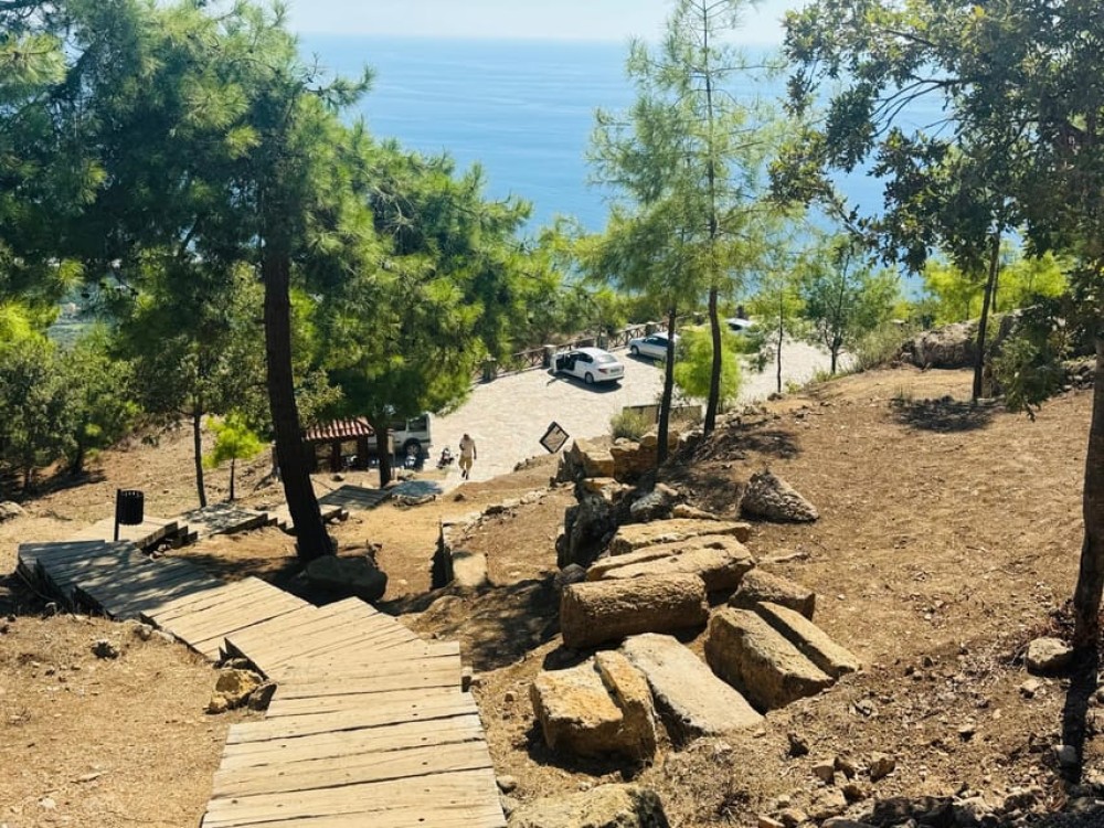 Image 6