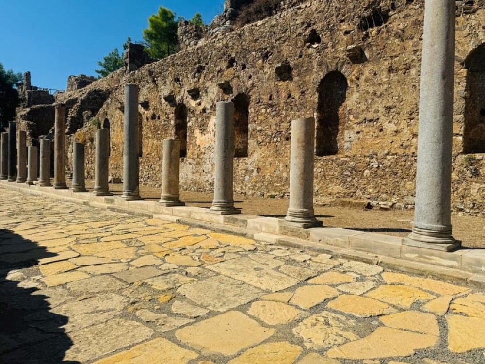 Image 7