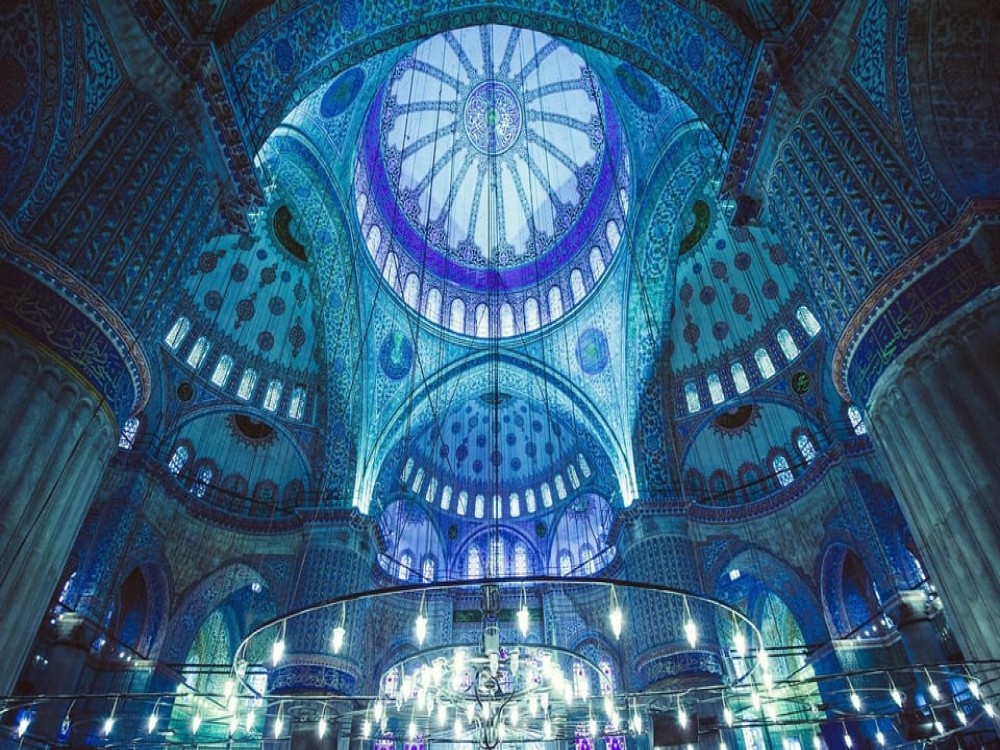 Image 7