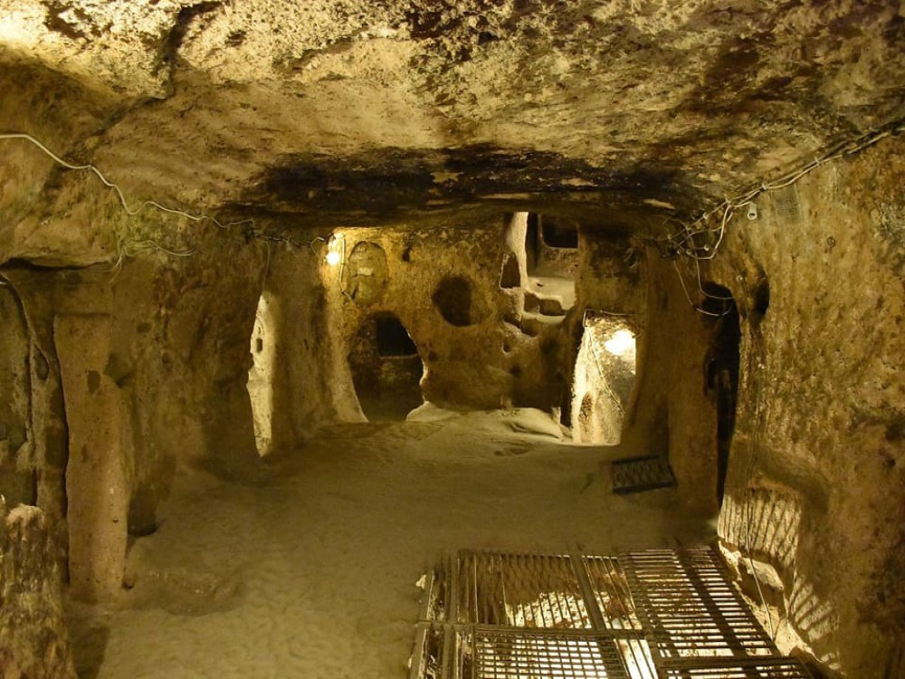 Image 5