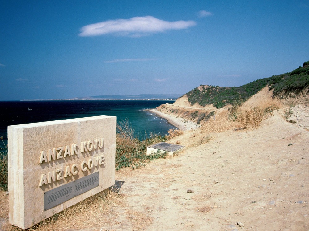 Image 7