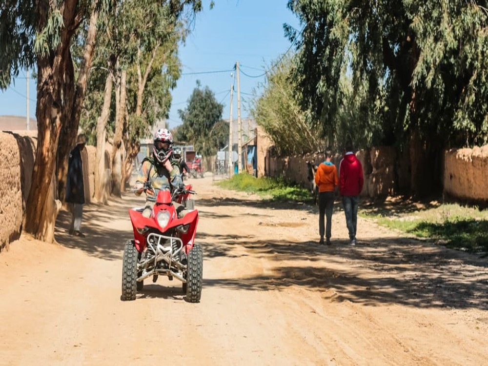 Marrakech Quad Bike Experience: Desert and Palmeraie | ®ExcursionMania