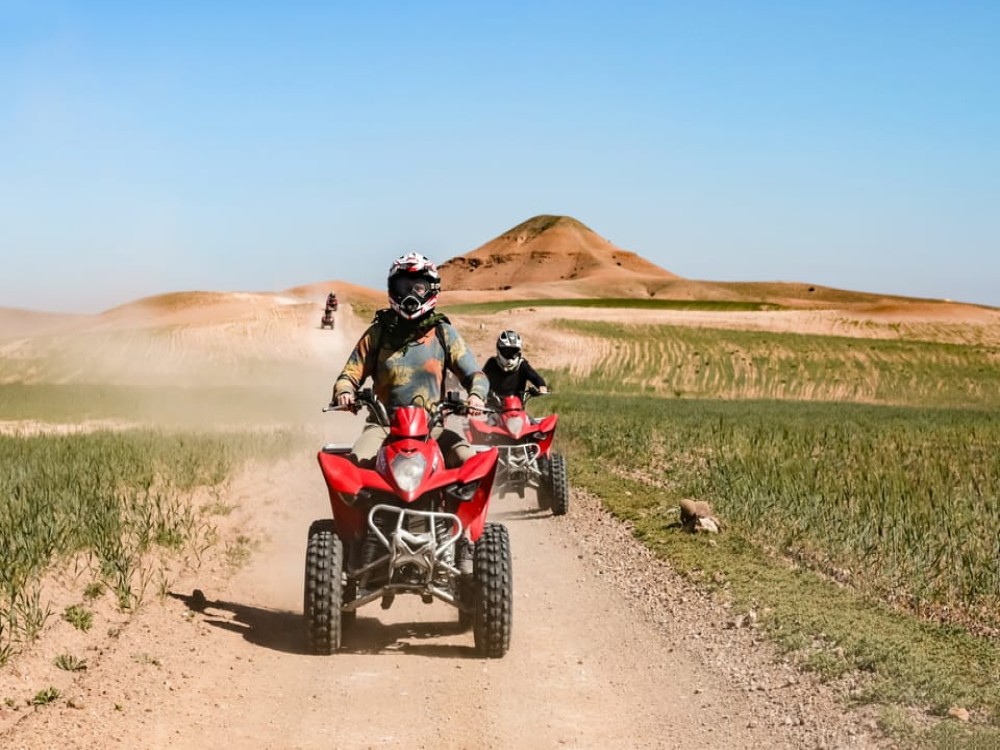 Marrakech Quad Bike Experience: Desert and Palmeraie | ®ExcursionMania
