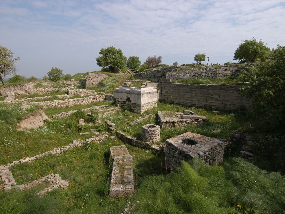 Image 6