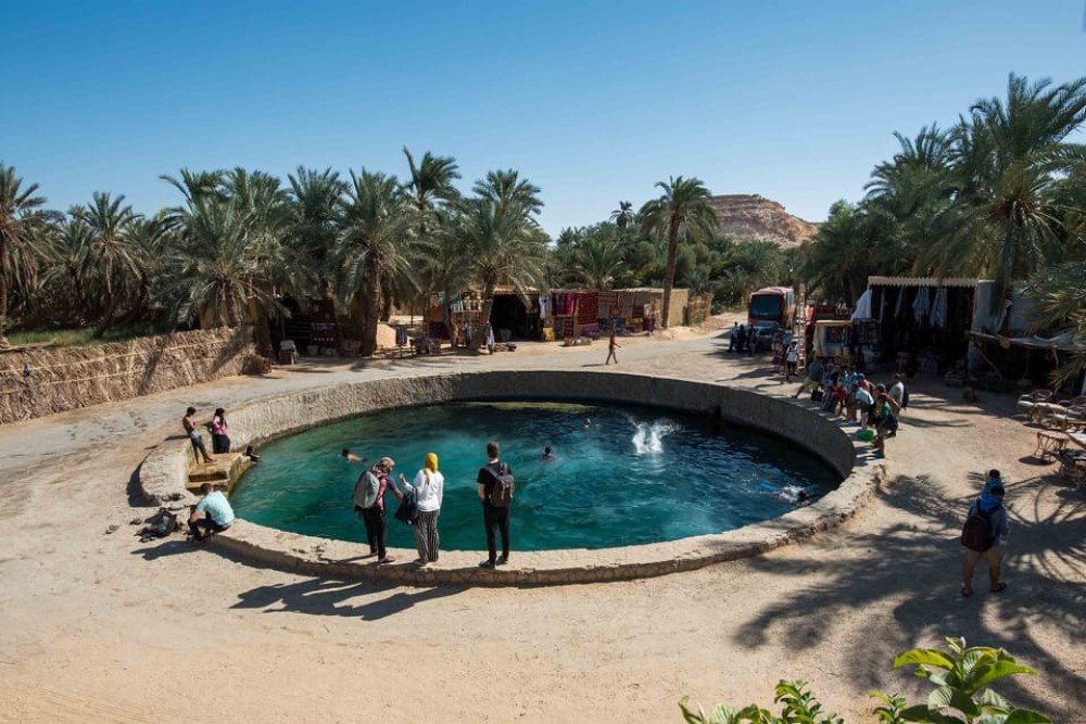 Cairo: 3-Day Siwa Oasis Tour Safari Camp & Historical Site | ®ExcursionMania