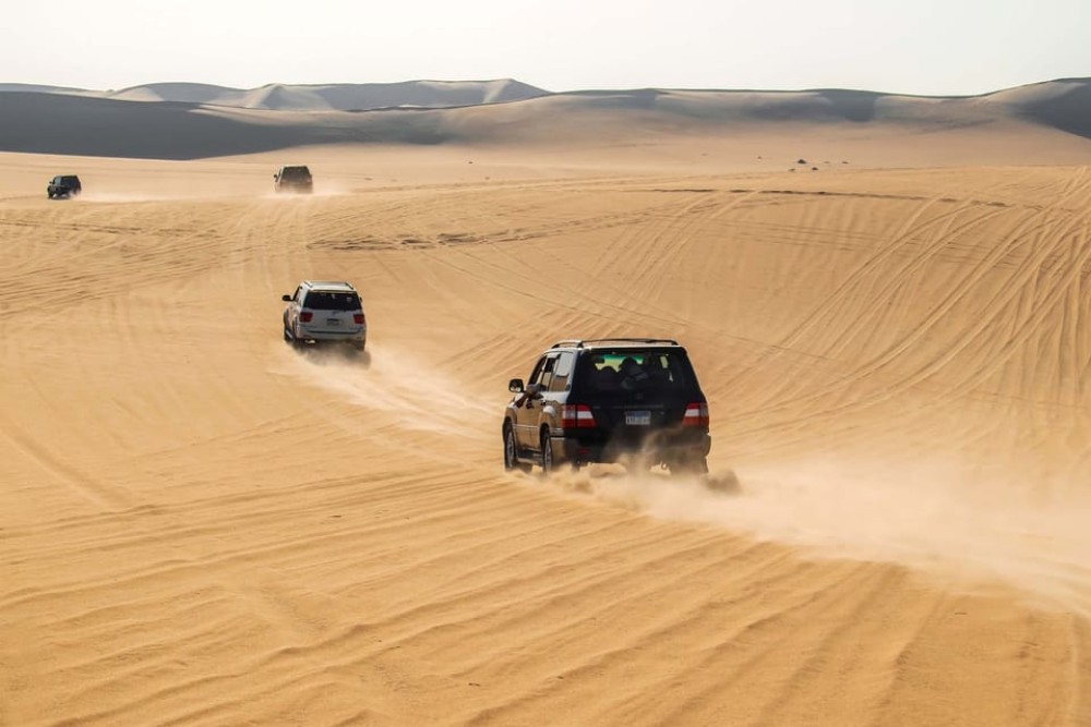 Cairo: 3-Day Siwa Oasis Tour Safari Camp & Historical Site | ®ExcursionMania