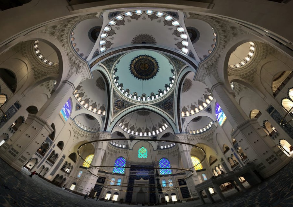 Image 6