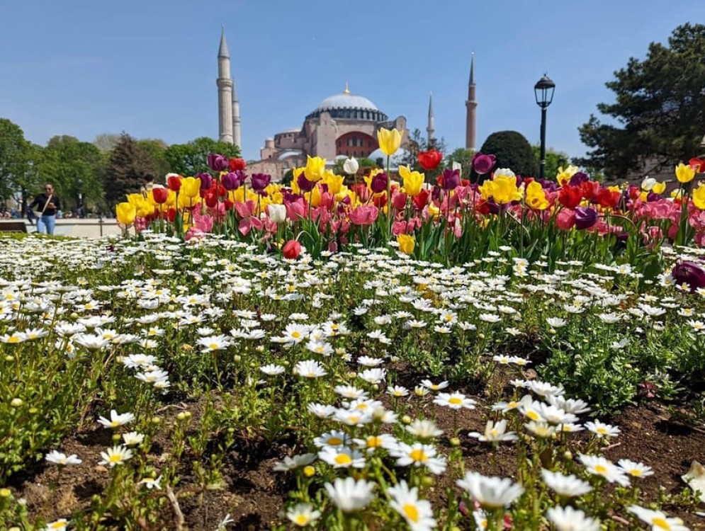 Istanbul's Gems: Blue Mosque Basilica Cistern and Grand Bazaar Tour | ®ExcursionMania