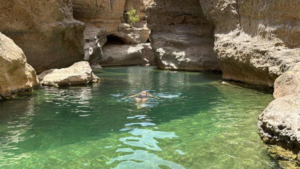 Image 4