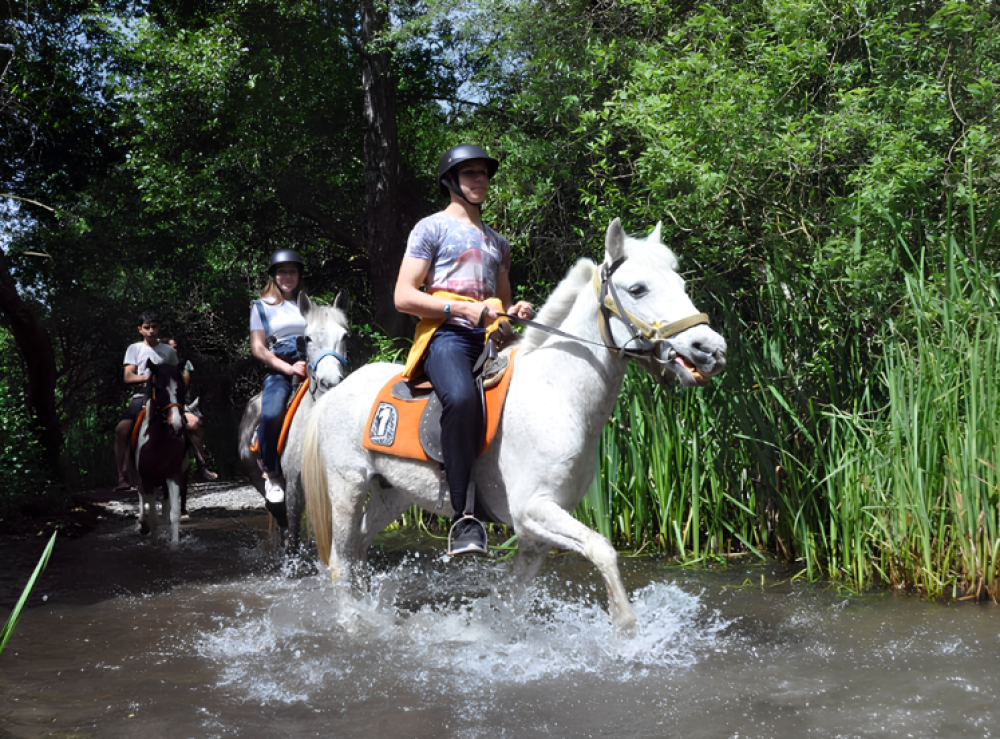 Turunc Horse Safari With Free Hotel Pickup Service | ®ExcursionMania
