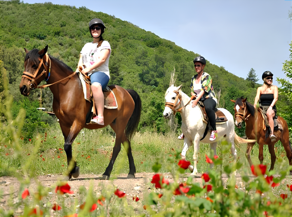 Turunc Horse Safari With Free Hotel Pickup Service | ®ExcursionMania