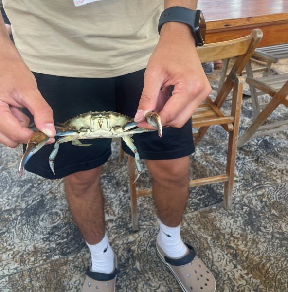 Marmaris Turtle Beach Tour With Mud Baths & River Cruise | ®ExcursionMania