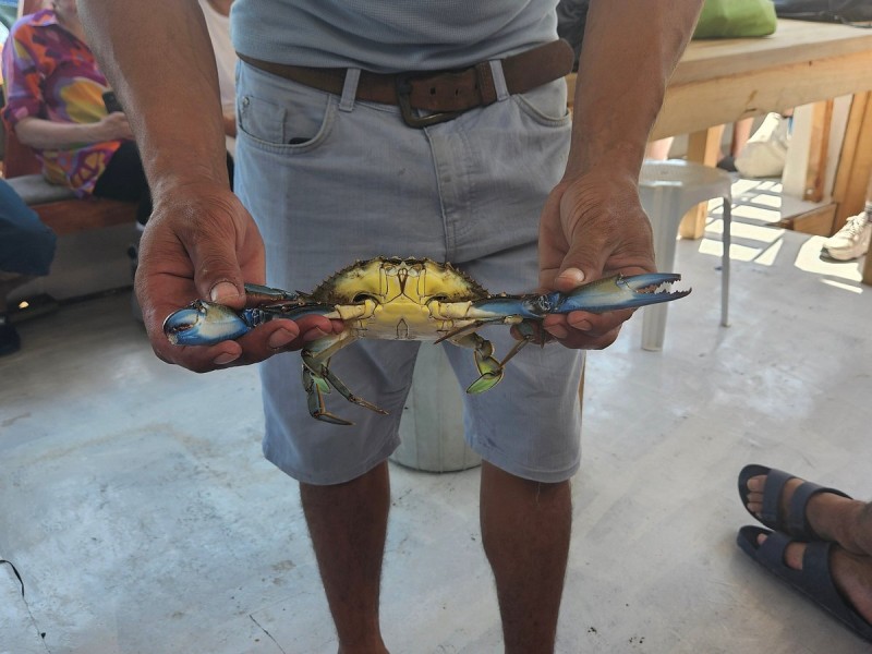 Marmaris Turtle Beach Tour With Mud Baths & River Cruise | ®ExcursionMania