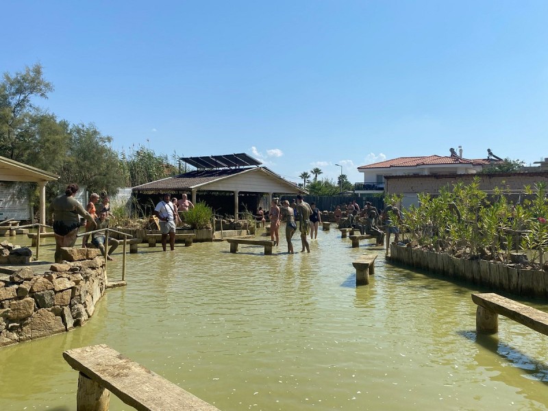 Marmaris Turtle Beach Tour With Mud Baths & River Cruise | ®ExcursionMania