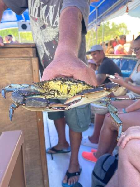 Marmaris Turtle Beach Tour With Mud Baths & River Cruise | ®ExcursionMania