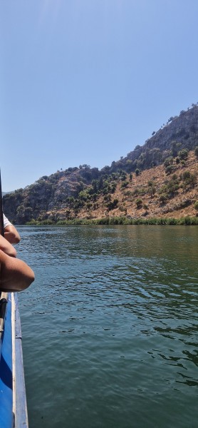Marmaris Turtle Beach Tour With Mud Baths & River Cruise | ®ExcursionMania