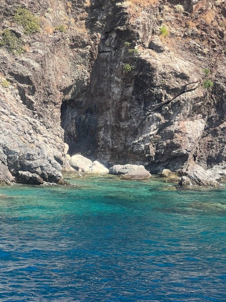 Marmaris Turtle Beach Tour With Mud Baths & River Cruise | ®ExcursionMania