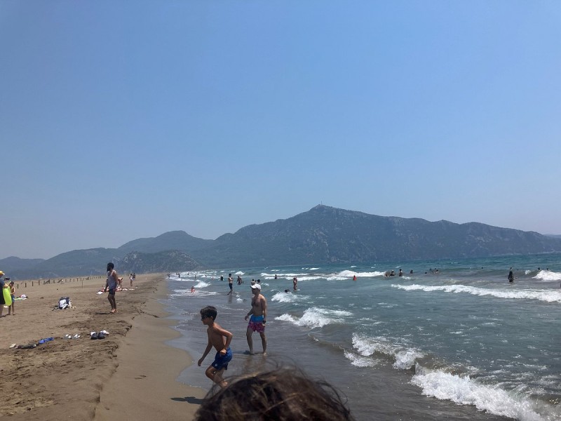 Marmaris Turtle Beach Tour With Mud Baths & River Cruise | ®ExcursionMania