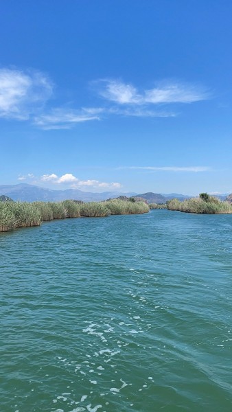 Marmaris Turtle Beach Tour With Mud Baths & River Cruise | ®ExcursionMania