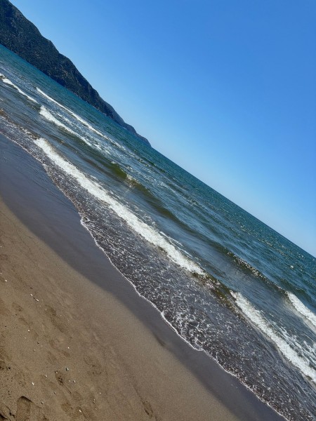 Marmaris Turtle Beach Tour With Mud Baths & River Cruise | ®ExcursionMania