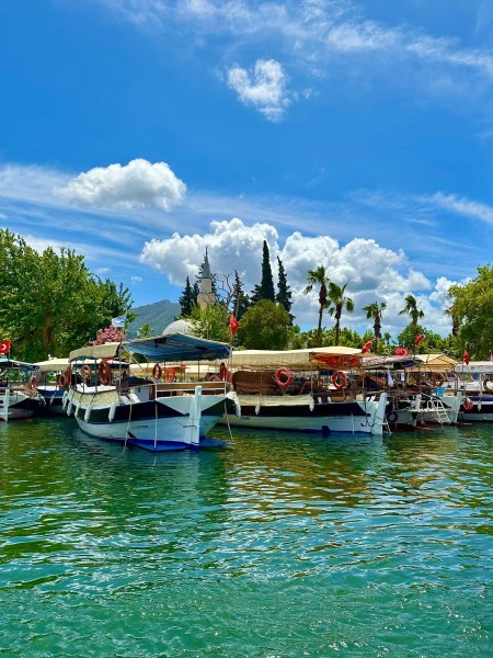 Marmaris Turtle Beach Tour With Mud Baths & River Cruise | ®ExcursionMania