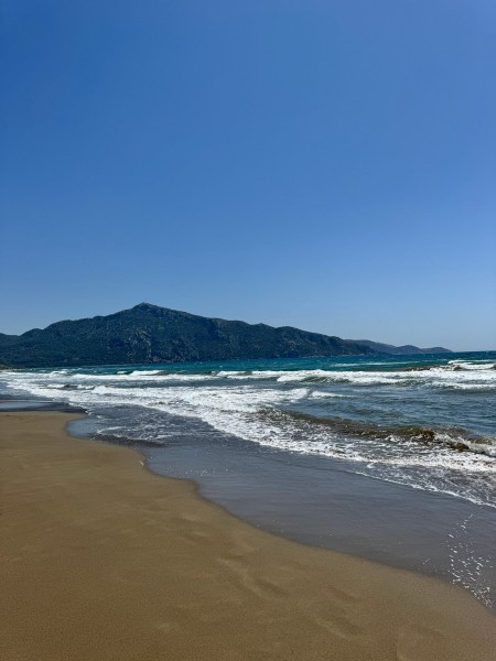 Marmaris Turtle Beach Tour With Mud Baths & River Cruise | ®ExcursionMania