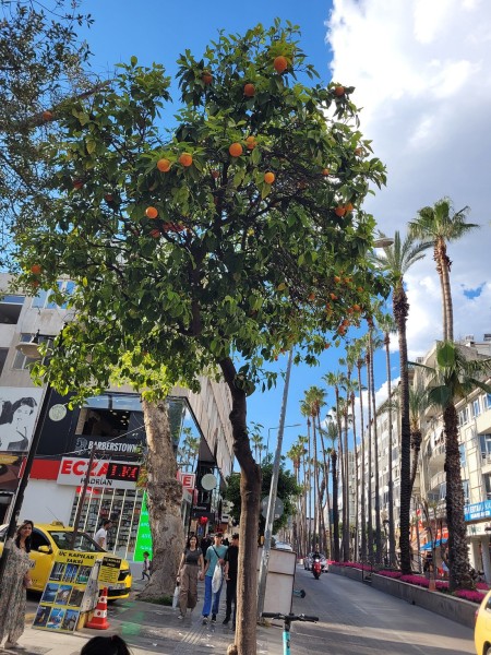 Antalya Sightseeing City Tour With Waterfalls & Cable Car | ®ExcursionMania