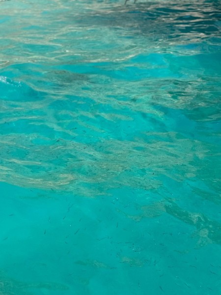 Antalya Suluada Island Boat Trip with Hotel Pickup & Lunch | ®ExcursionMania
