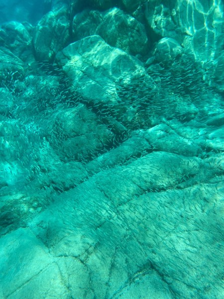 Antalya Suluada Island Boat Trip with Hotel Pickup & Lunch | ®ExcursionMania