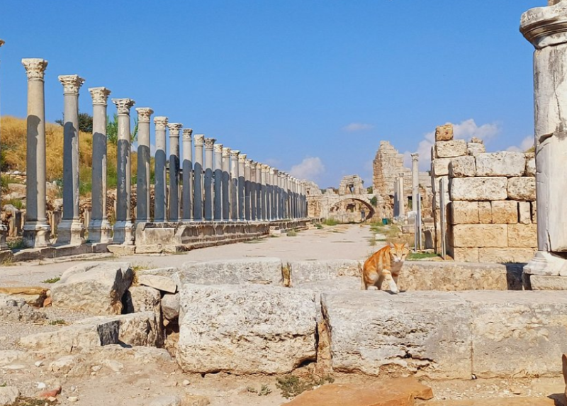 Antalya: From Antalya: Perge & Aspendos Heritage Tour | ®ExcursionMania