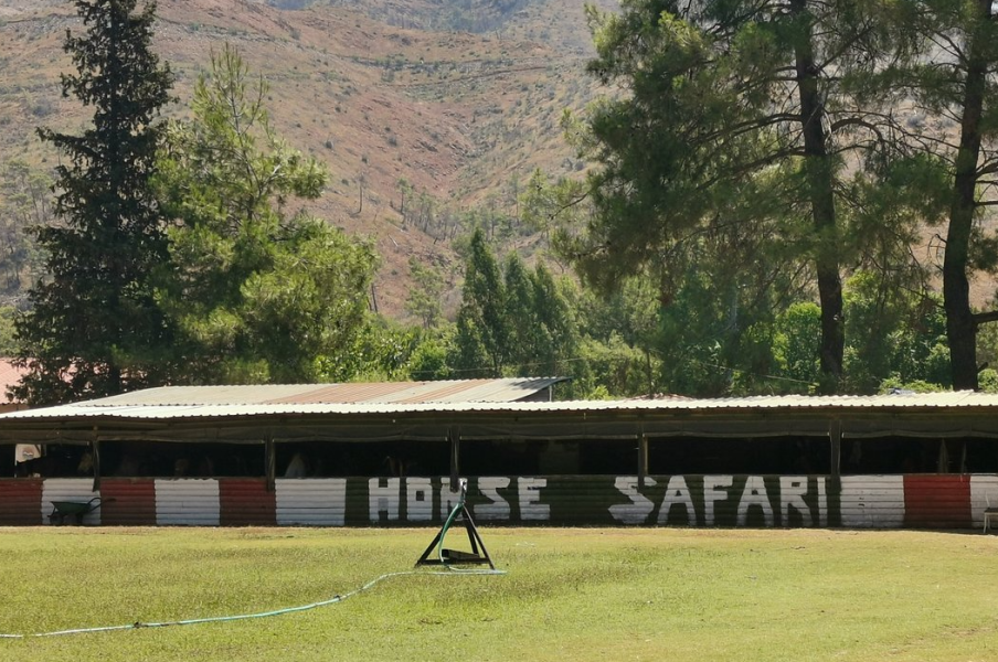 Turunç: Turunc Horse Safari With Free Hotel Pickup Service | ®ExcursionMania